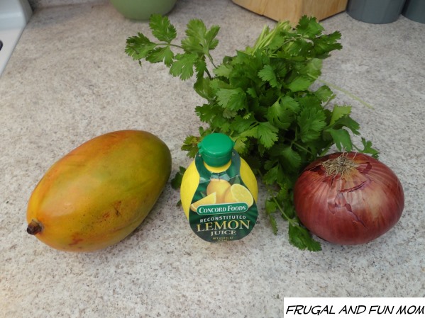 Ingredients for Homemade Mango Salsa