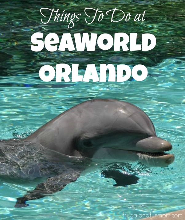 Things to Do and See At Seaworld Orlando Theme Park Florida