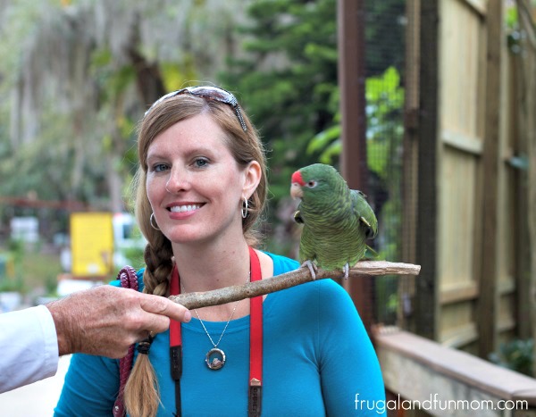 Meeting a friendly bird at the Central Florida Zoo