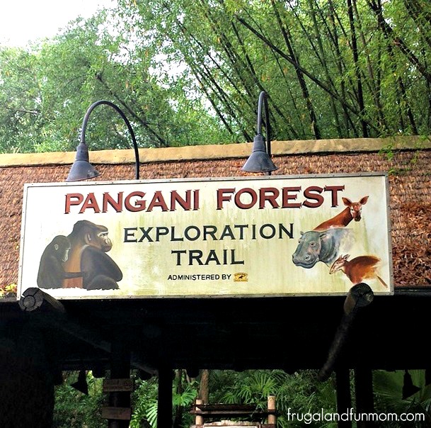 Animal Kingdom Pangani Forest